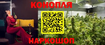 стаф Обнинск