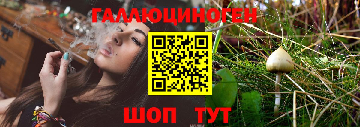 Псилоцибиновые грибы Psilocybine cubensis  Вход с VPN  Сорочинск  Псилоцибиновые грибы ЛСД 